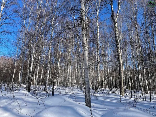 Nhn Elliott Hwy, Fairbanks, AK 99712