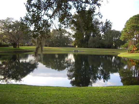 Beautiful Lake View!