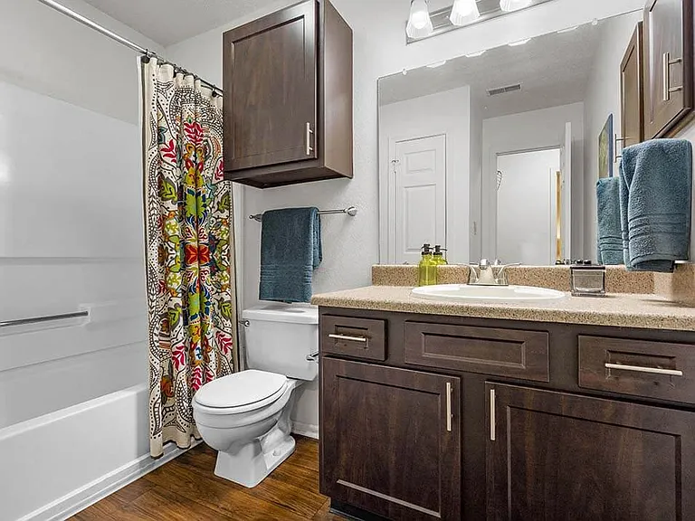 Bathroom with a Bathtub