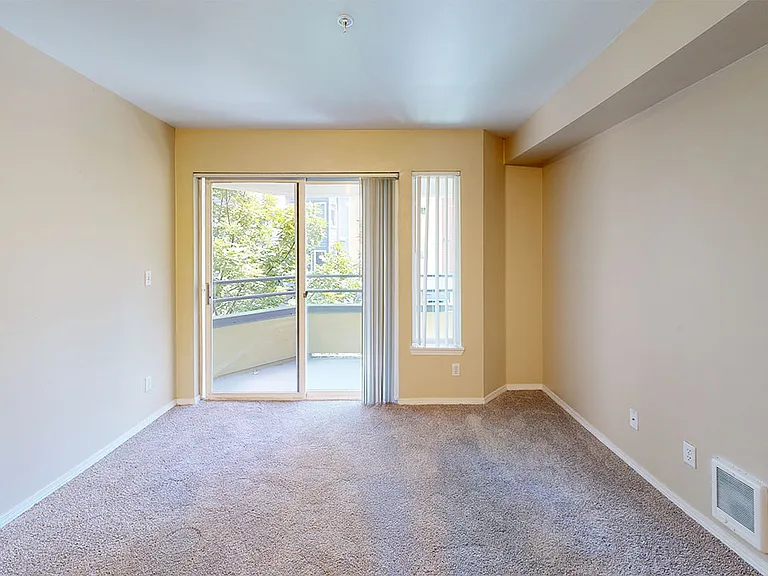 Apartment living room with plush carpet flooring and patio or balcony in select homes.