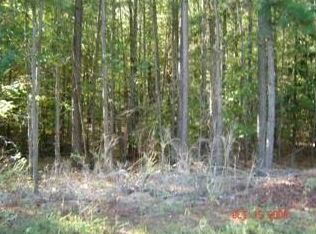 1105 W Adrian Cir SW, Conyers, GA 30094