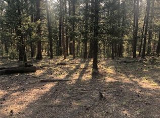 469 Echo Lake Dr, Lake George, CO 80827