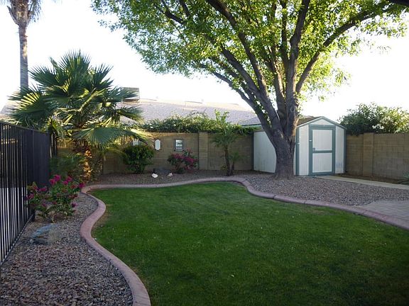 Beautiful Backyard 1