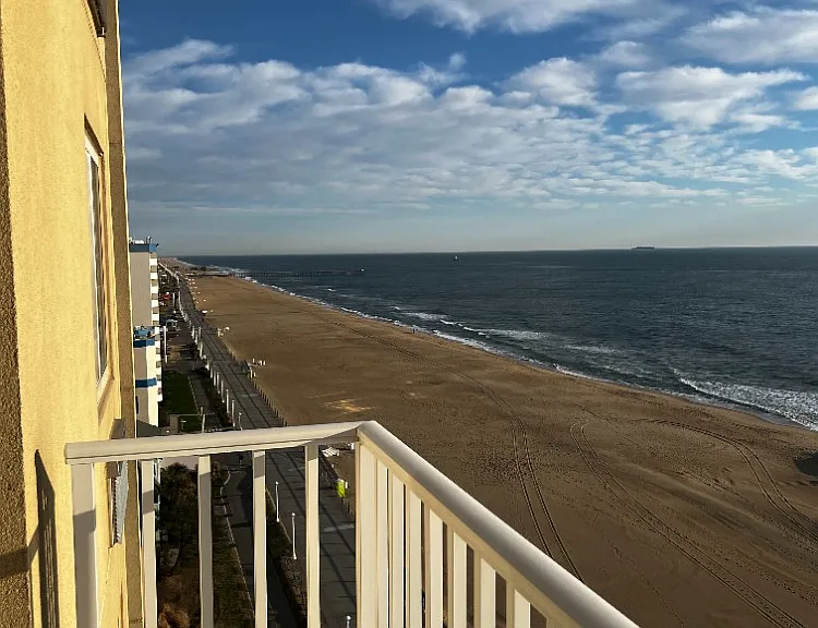 303 Atlantic Ave #1201 — Photo 10