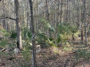 0 Cooke Rd LOT 2, Johns Island, SC 29455
