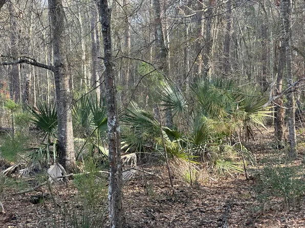 0 Cooke Rd Lot 2, Johns Island, SC 29455