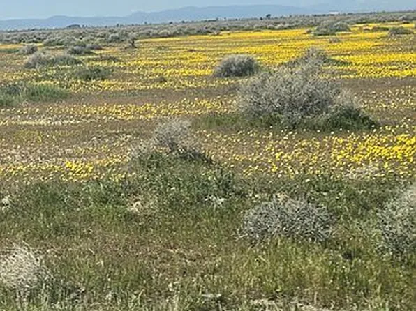 LOT 227th St E, Lancaster, CA 93535