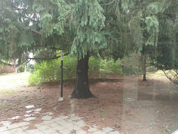2nd image of 3C Hancock Dr