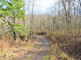 1216 French Asylum Rd, Towanda, PA 18848