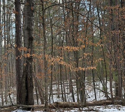 3rd image of E Long Lake Rd