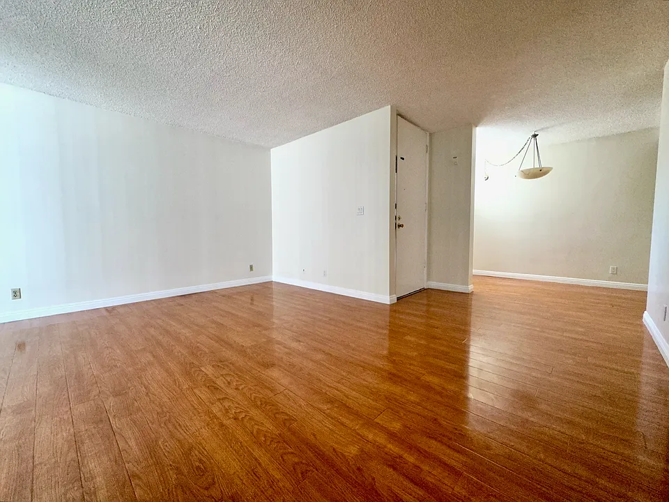 Living Room (looking towards the front door and dining area)
