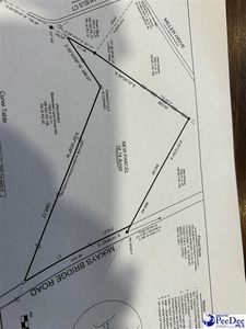 McKays Bridge Rd, Little Rock, SC, 29567