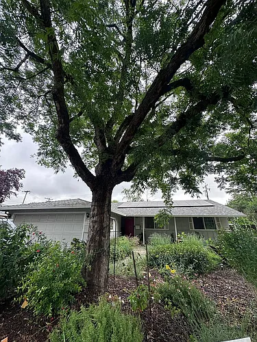 1506 Manzanita Ln Photo 1