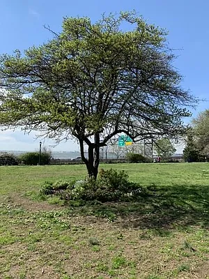 Sold by Remax Edge | media 28