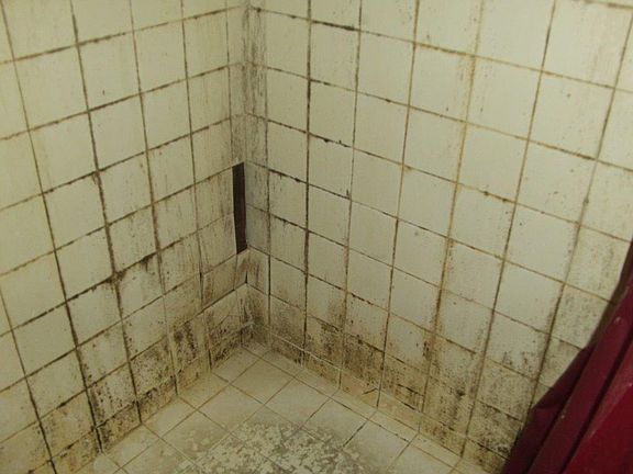5th image of 13262 NW 5th St