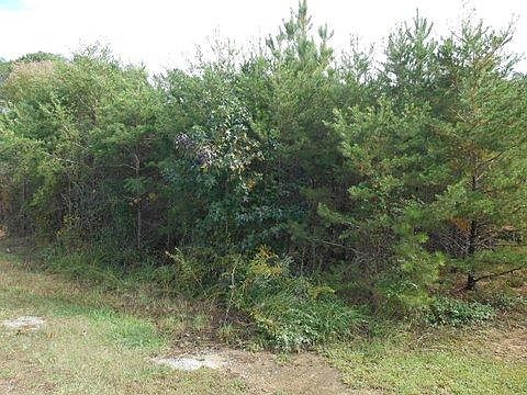 3rd image of 1055 County Road 92