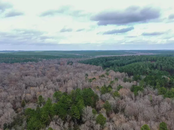 0 County Road 1619, Linden, TX 75563