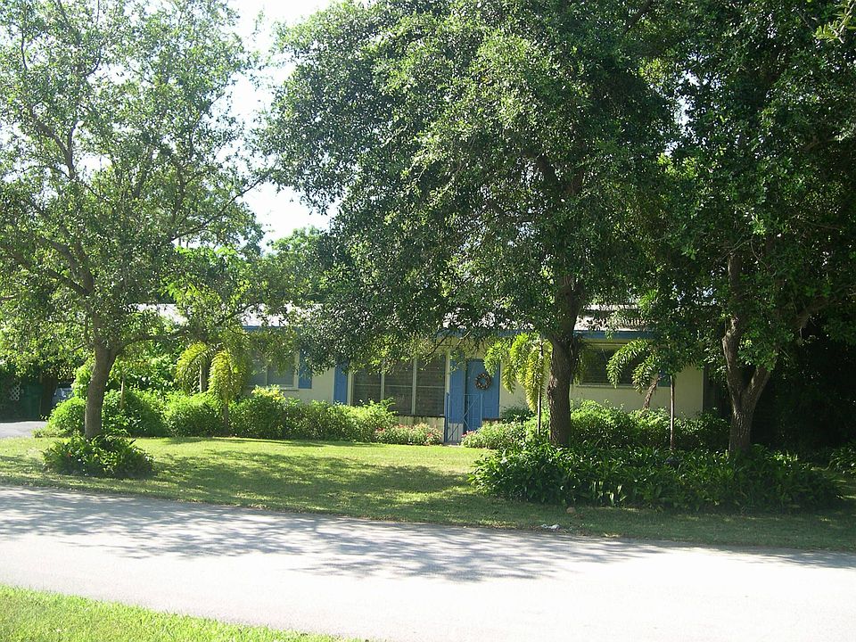Mature live oaks!!