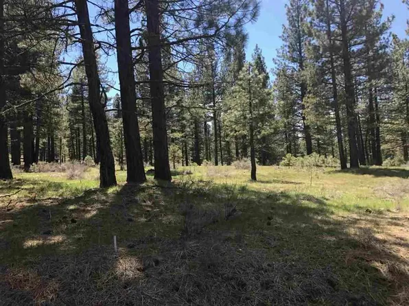 459 Paintbrush, Portola, CA 96122