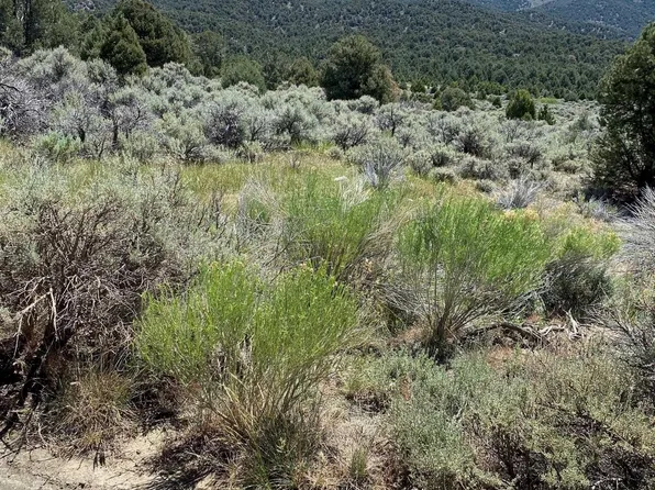 El Dorado Cyn, Carson City, NV 89701