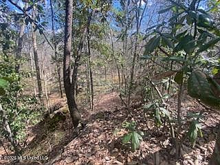 4th image of Turkey Creek Rd