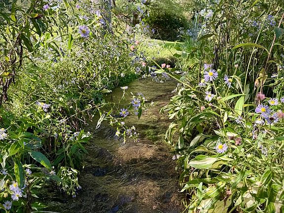 4th image of 265 W Branch Fishing Creek Rd