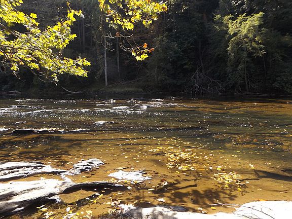 5th image of 6503 Panther Creek Rd
