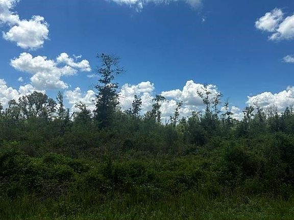 3rd image of 0 Piney Point Ln