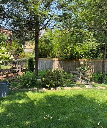 Shady backyard