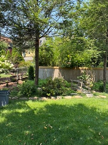 Shady backyard