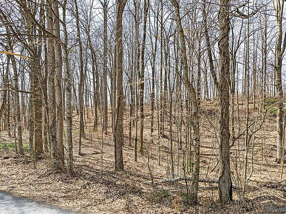 3rd image of Jimmy Reneau Rd