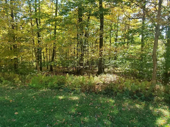 28 Bridle Way, Equinunk, PA 18417