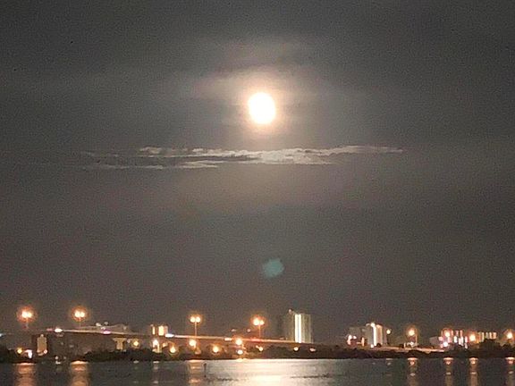 4th image of 3333 S Ridgewood Ave APT 9