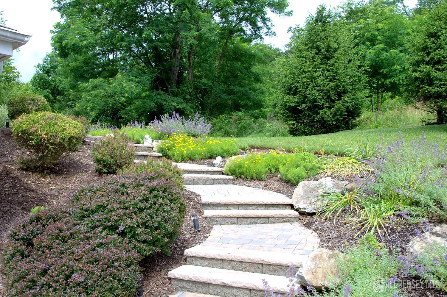 3 bed, 2.5 bath, 1990 sqft, $3,850 — Photo 2