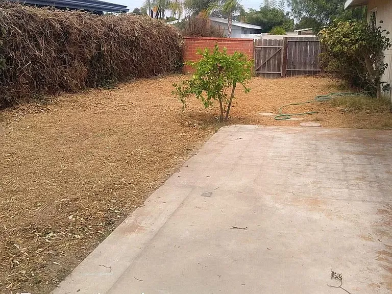 Good sized patio/ backyard with a lemon tree.