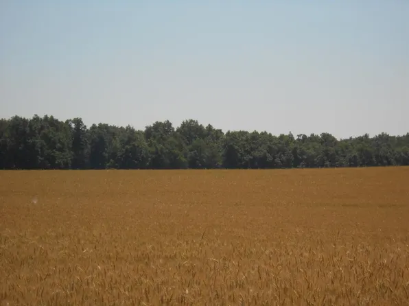 9590 Saline Waterworks Rd, Manchester, MI 48158