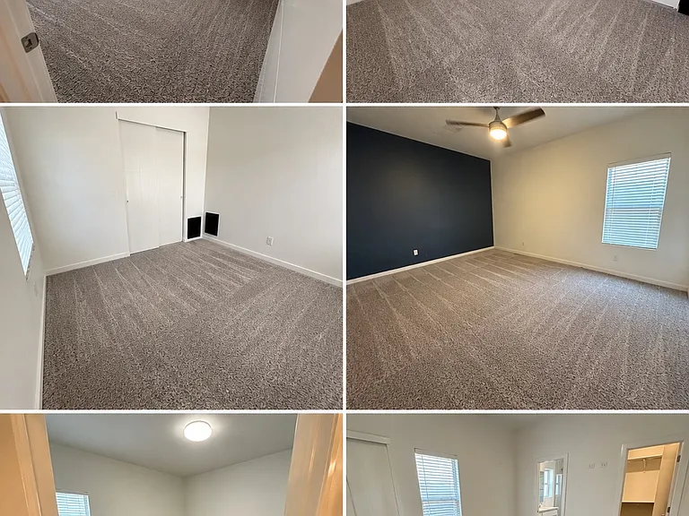 433 Beech Tree Dr — Photo 10