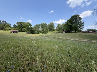 5170 Steam Mill Hollow Rd, Williamsport, TN, 38487