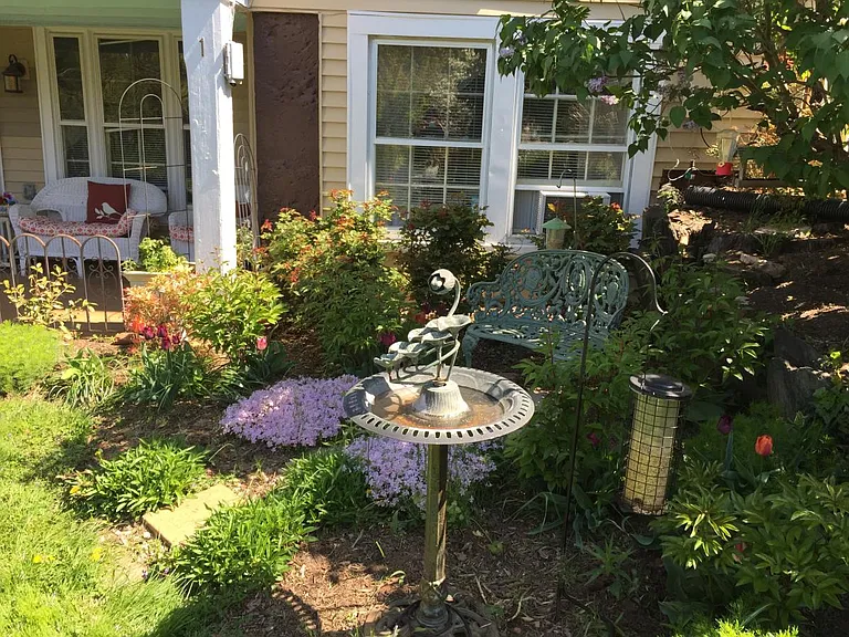 Fenced in yard