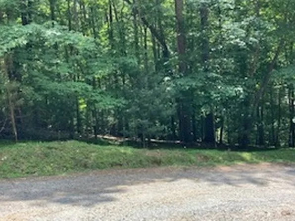 L3461 Cherry St, Ellijay, GA 30540