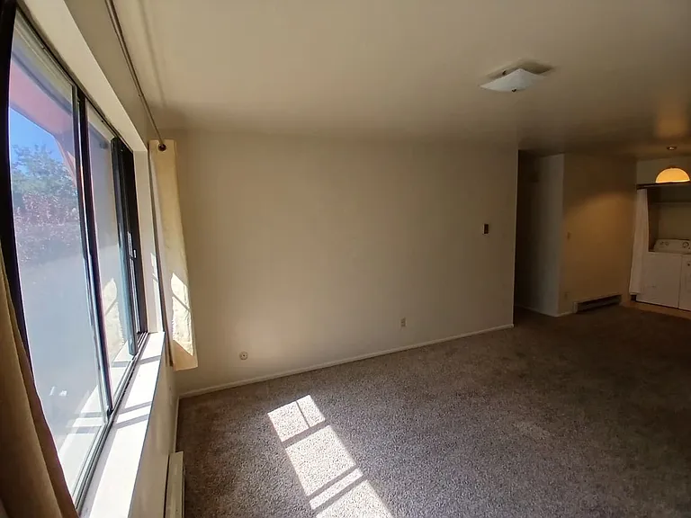 1734 Azalea Dr — Photo 5