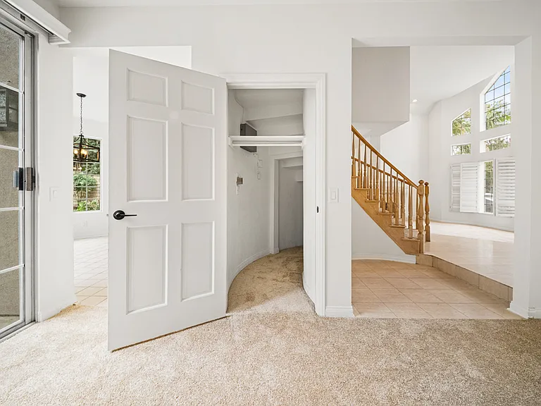 Large Storage Closet under the Staircase