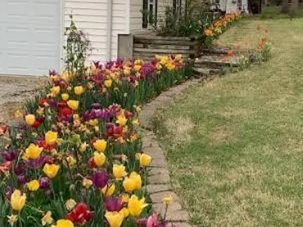 4132 Ridge Dr, De Soto, MO 63020