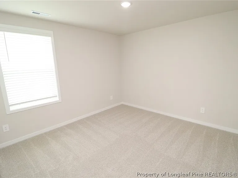 4129 Hazel Branch Way — Photo 32
