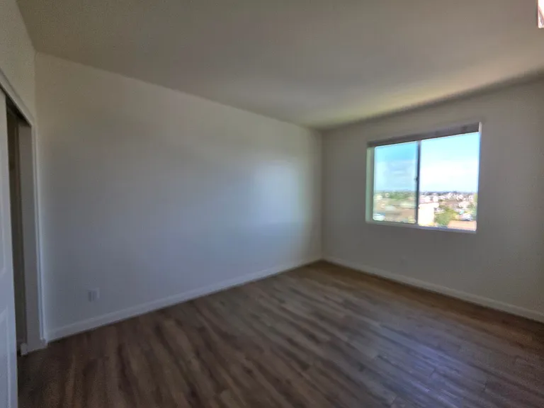 310 Palm Ave — Photo 59