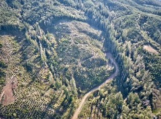 TRACT 2A S Valley Rd, Naselle, WA 98638