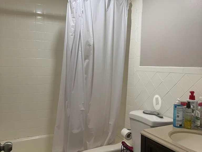 137 Havre St #3 — Photo 6