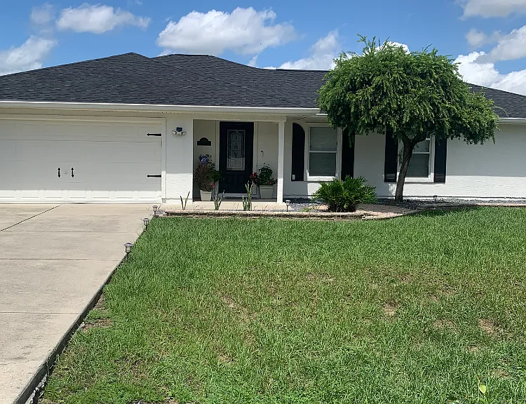 New roof and paint!