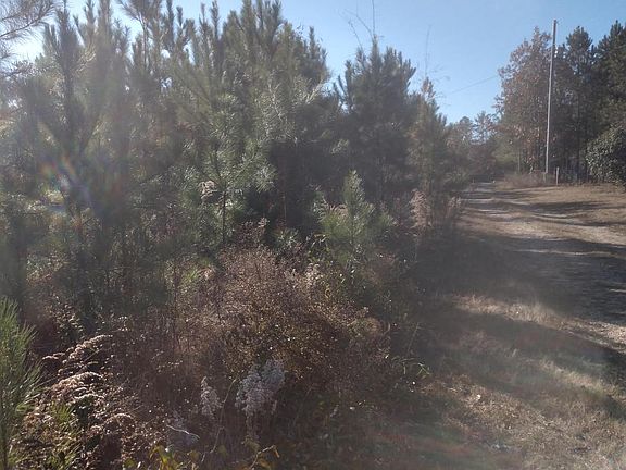 3rd image of 239 Lick Creek Dr