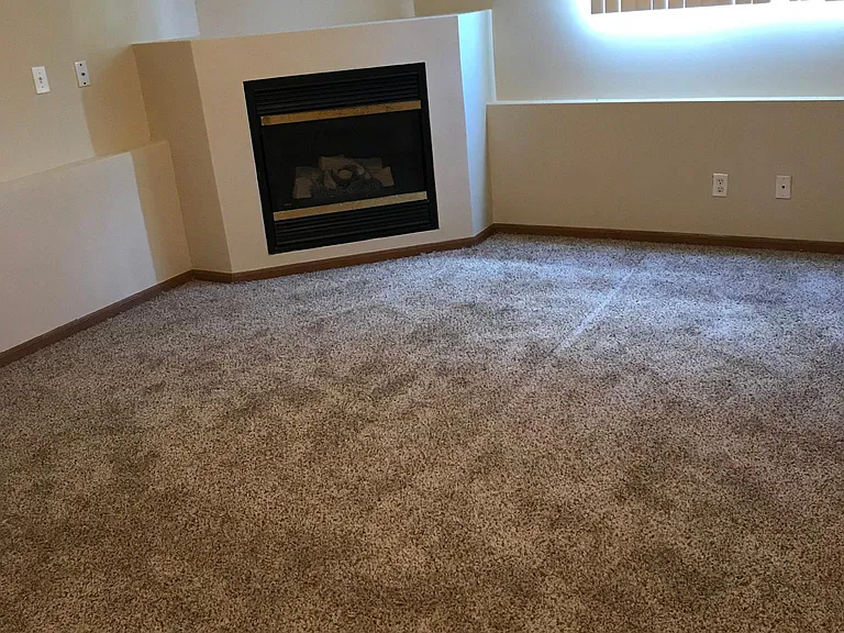 17604 Olive St — Photo 5